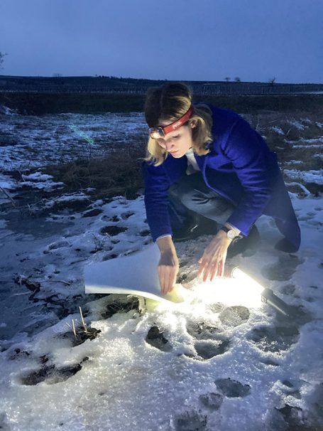 Person in blauer Jacke bearbeitet etwas im Schnee, beleuchtet von einer LED-Leuchte.