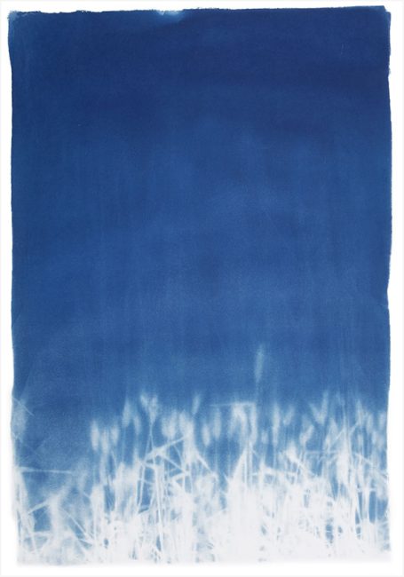 Abstrakte blaue Farbverlauf mit hellem unteren Rand, der an Gras erinnert.