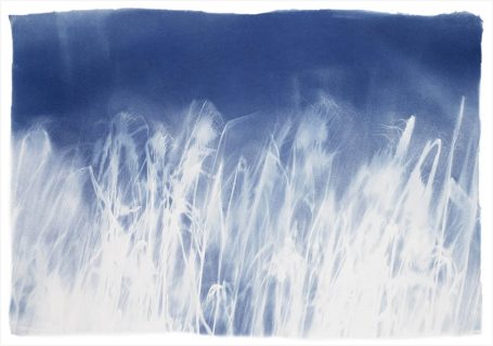 Abstrakte Darstellung von blauen und weißen Farbstrukturen, die an Wasser oder Gras erinnern.