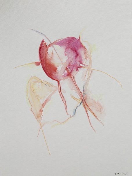 liquid body n°3 Abstrakte Aquarellmalerei in Rot- und Rosatönen mit filigranen Linien.