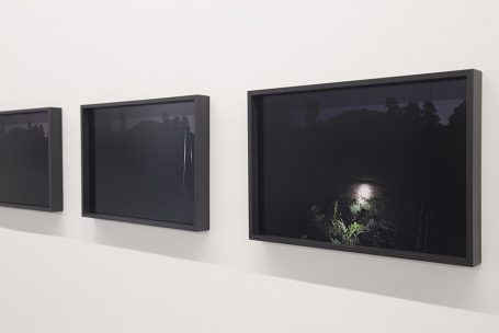 Drei rahmenlose Bilder an einer Wand, zwei dunkel, eines zeigt einen beleuchteten Baum.