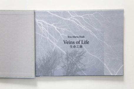 Buchcover mit dem Titel "Visionen des Lebens" und grauem, abstraktem Hintergrund.