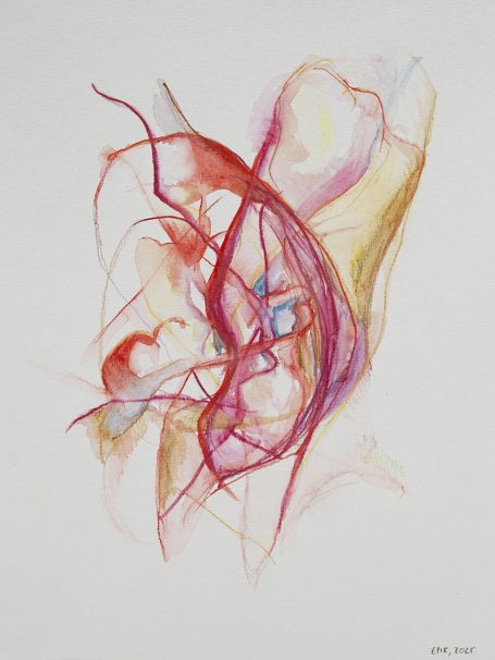 liquid body n°6 Abstrakte Zeichnung in Rottönen mit geschwungenen Linien und sanften Farbverläufen.