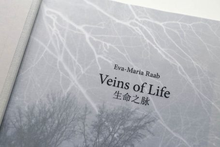 Titel "Veins of Life" auf einem Buchumschlag mit grauem Hintergrund und Zweigen.