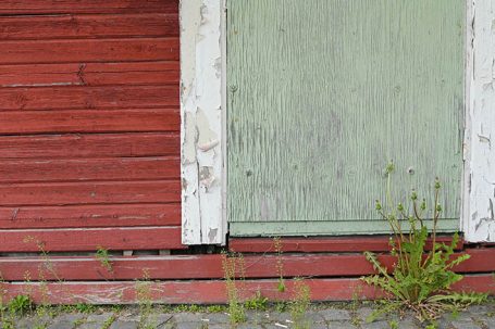 Rote Holzwände mit einer grünen Tür und Gras, das durch den Boden wächst.
