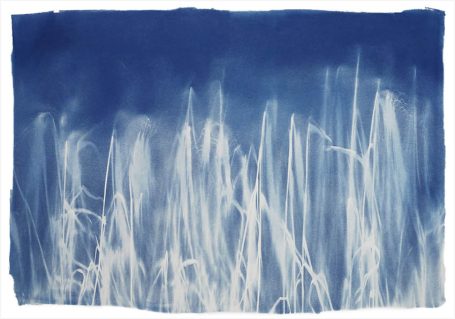 Abstrakte Darstellung in Blau und Weiß mit verwischten Linien und Lichtspielen.