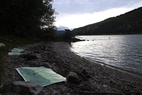 Küste mit Steinen und Plänen, bei schwachem Licht und ruhigem Wasser im Hintergrund.