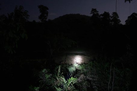 Dunkler Wald mit schimmerndem Licht auf einem Wasserlauf und sanften Hügeln im Hintergrund.