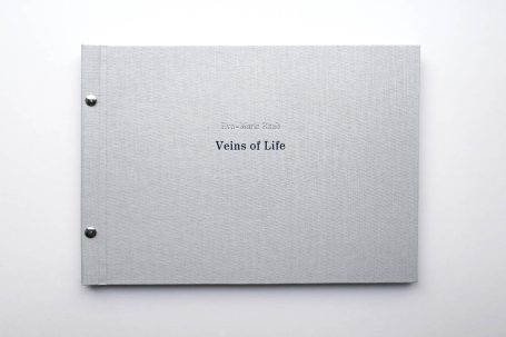 Graues Buch mit dem Titel "Voices of Life" auf dem Umschlag.