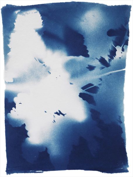 Abstrakte blaue und weiße Komposition mit zarten Blattstrukturen.