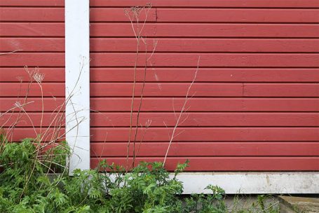 Rote Wand mit vertikalen Holzlatten und grünen Pflanzen im Vordergrund.