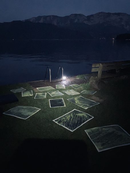 Mehrere Bilder liegen am Ufer eines ruhigen Gewässers, beleuchtet von einer Lampe.