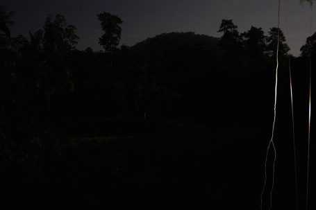 Dunkle Landschaft mit silhouettierten Bäumen und einem Hügel im Hintergrund.
