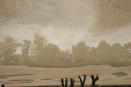Spiegelung von Bäumen und Himmel auf der Wasseroberfläche.