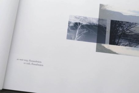 Abstrakte Collage mit Bildern von Natur und Text auf weißem Hintergrund.