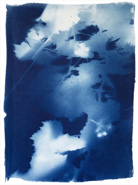 Blaues, abstraktes Kunstwerk mit Blatt- und Pflanzenmotiven im Cyanotypie-Stil.