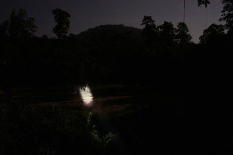 Ein heller Lichtschein in einer dunklen Landschaft mit Bäumen und einem Hügel im Hintergrund.