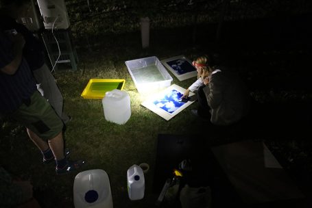 Person arbeitet nachts mit verschiedenen Behältern und Materialien im Freien.
