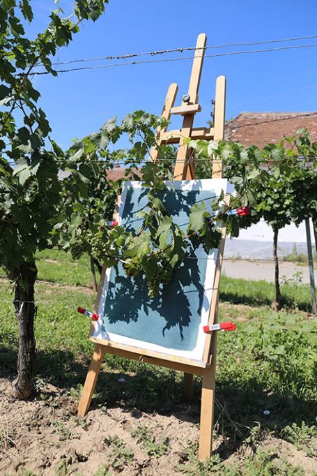 Staffelei mit einer Leinwand, umgeben von Weinreben unter klarem Himmel.
